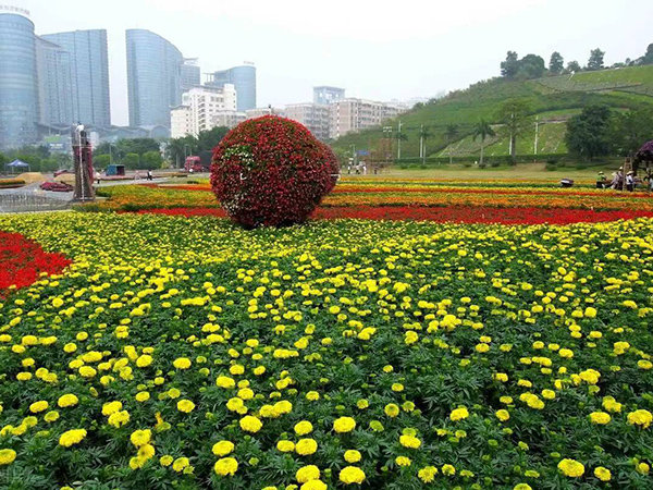園林綠化景觀
